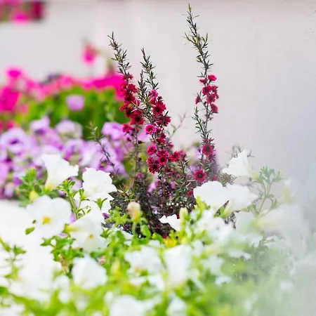 Апартаменты Nautilus *