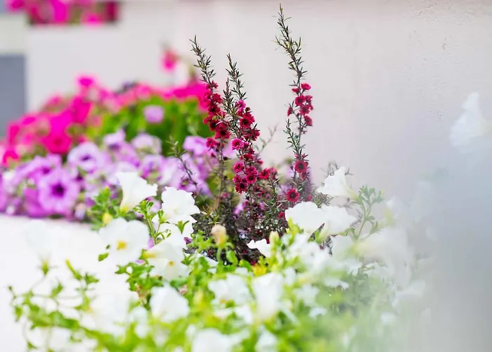 Apartament Nautilus *