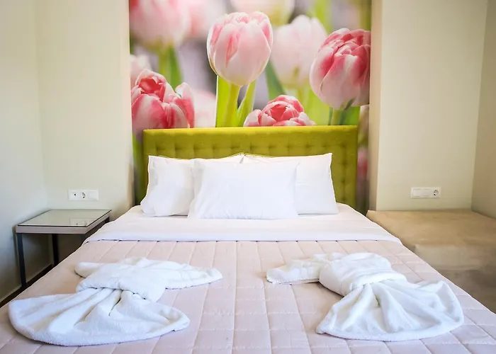 Apartament Nautilus Potos